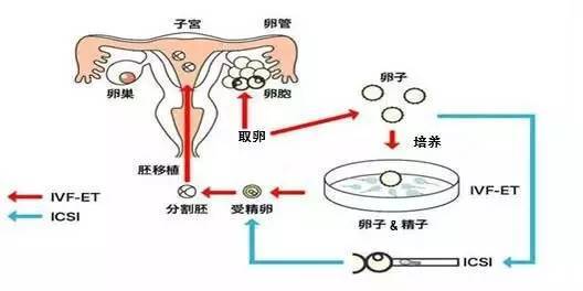 兰州私立医院